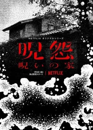 Recommendation: Ju-on: Noroi no Ie similar to Possessed