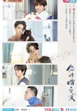 Recommendation: My Catmate similar to Black Knight: The Man Who Guards Me