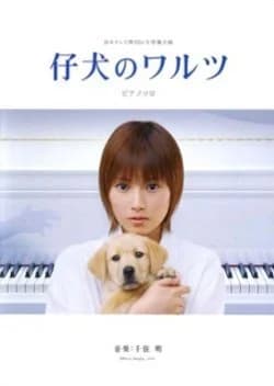 Recommendation: Koinu no Waltz similar to Come Come Everybody